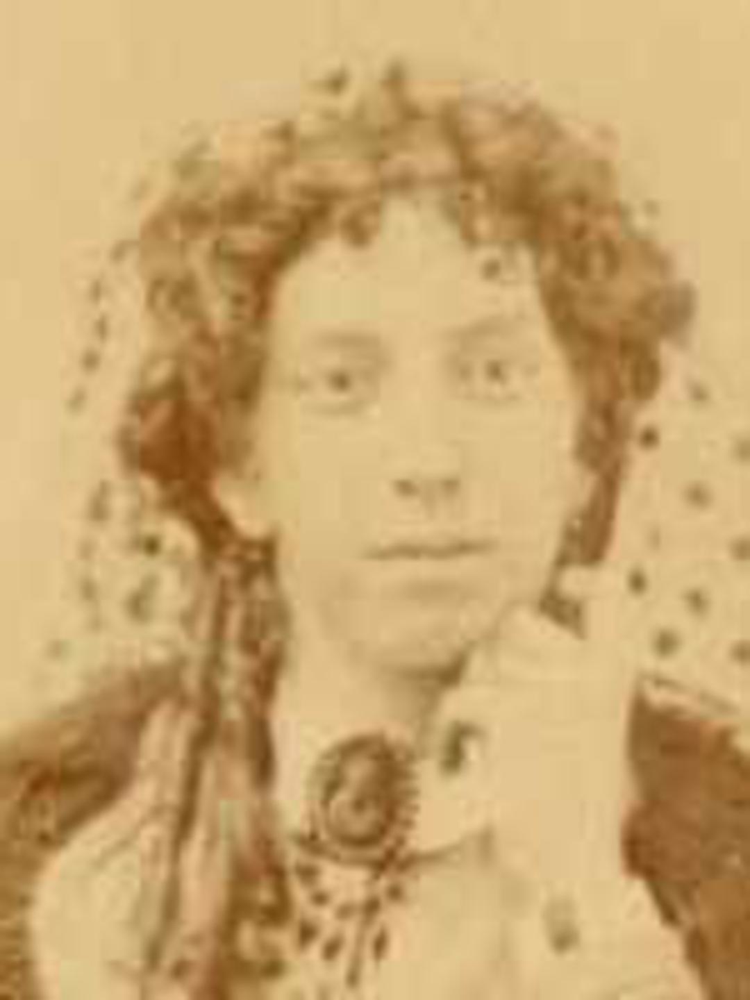 Sarah Ann Hammer (1843 - 1897) Profile